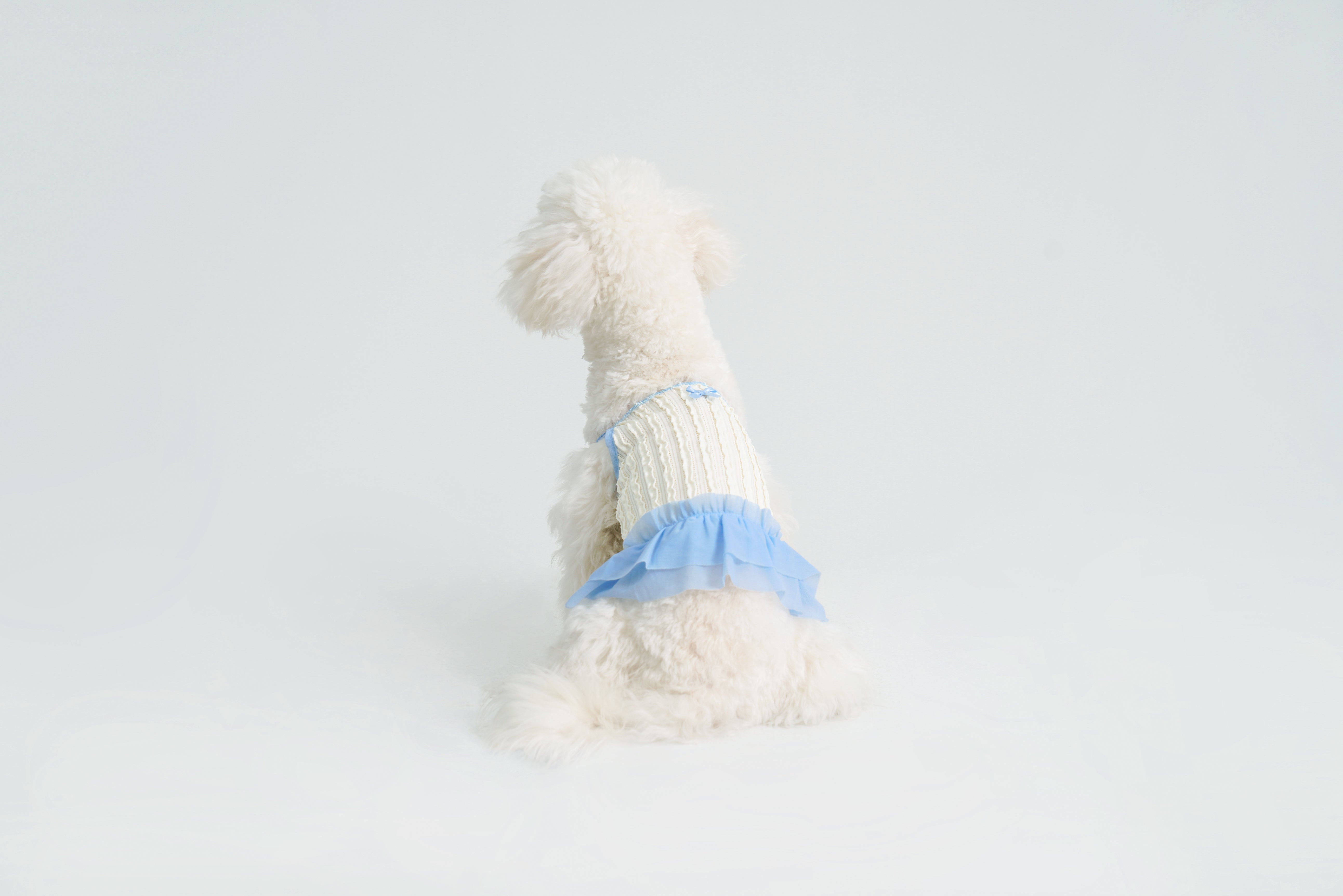 Dream Ballet - Blue