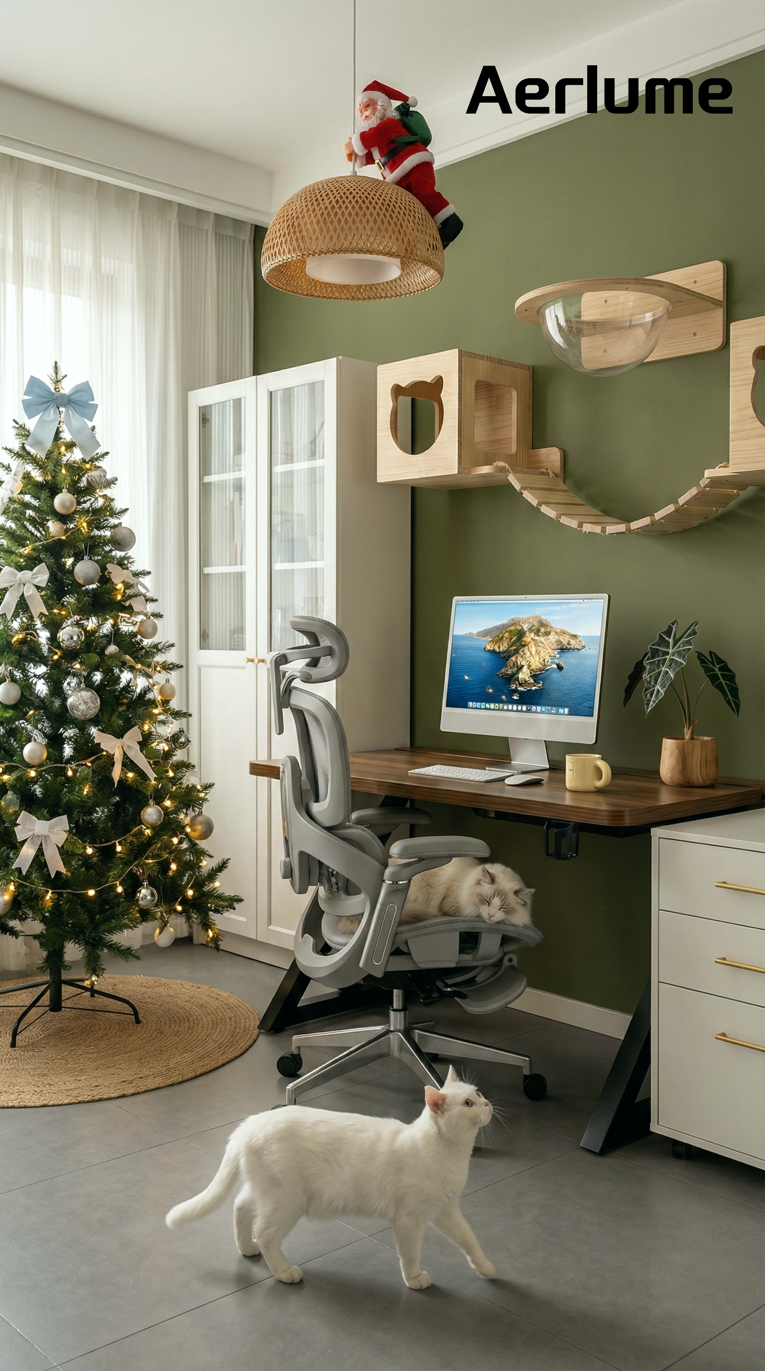 The $1,000 Chair Problem When Your Rent Is the Real Luxury