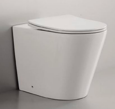 Torina Rimless in-wall rimless Pan Toilet