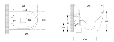 Torina Rimless in-wall rimless Pan Toilet