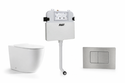 Torina Rimless in-wall rimless Pan Toilet