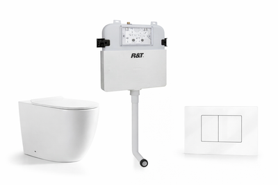 Torina Rimless in-wall rimless Pan Toilet