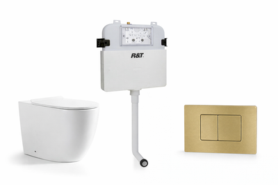 Torina Rimless in-wall rimless Pan Toilet