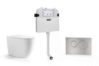 Torina Rimless in-wall rimless Pan Toilet