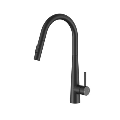Modern matte black kitchen faucet with pull-down sprayer and single-handle gooseneck design.