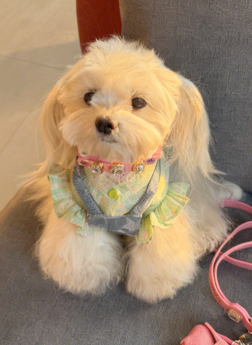 KUWOOF