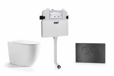 Torina Rimless in-wall rimless Pan Toilet