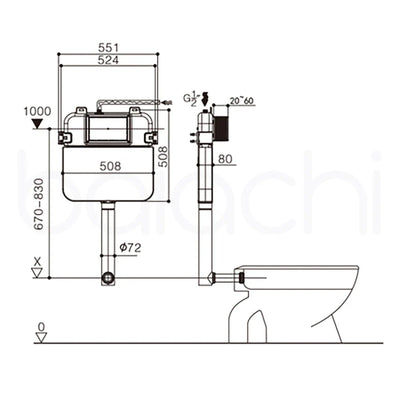 Juve Rimless Floor Pan Toilet