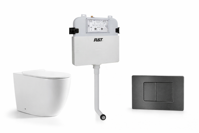 Torina Rimless in-wall rimless Pan Toilet