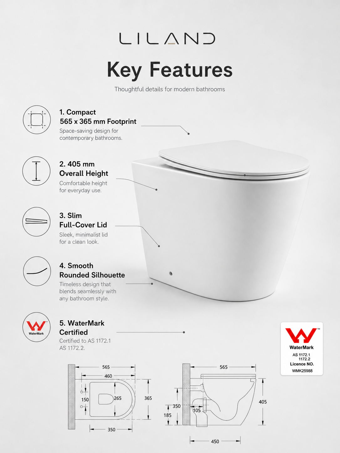 Torina Rimless in-wall rimless Pan Toilet