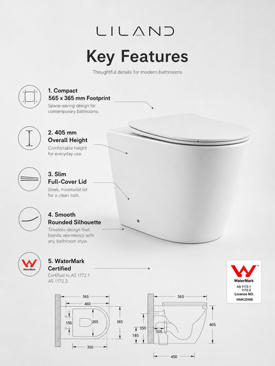 Torina Rimless in-wall rimless Pan Toilet