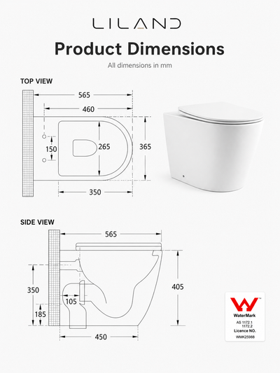 Torina Rimless in-wall rimless Pan Toilet