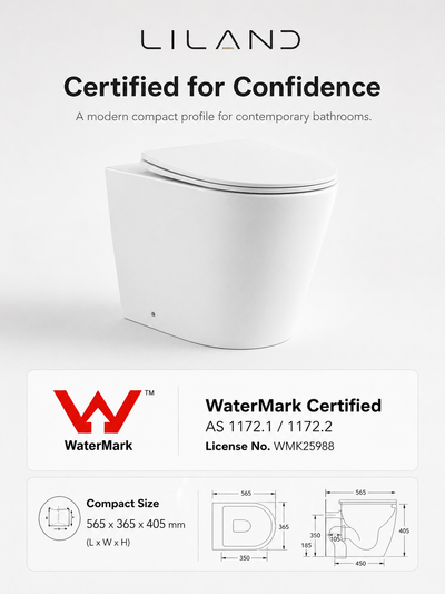Torina Rimless in-wall rimless Pan Toilet