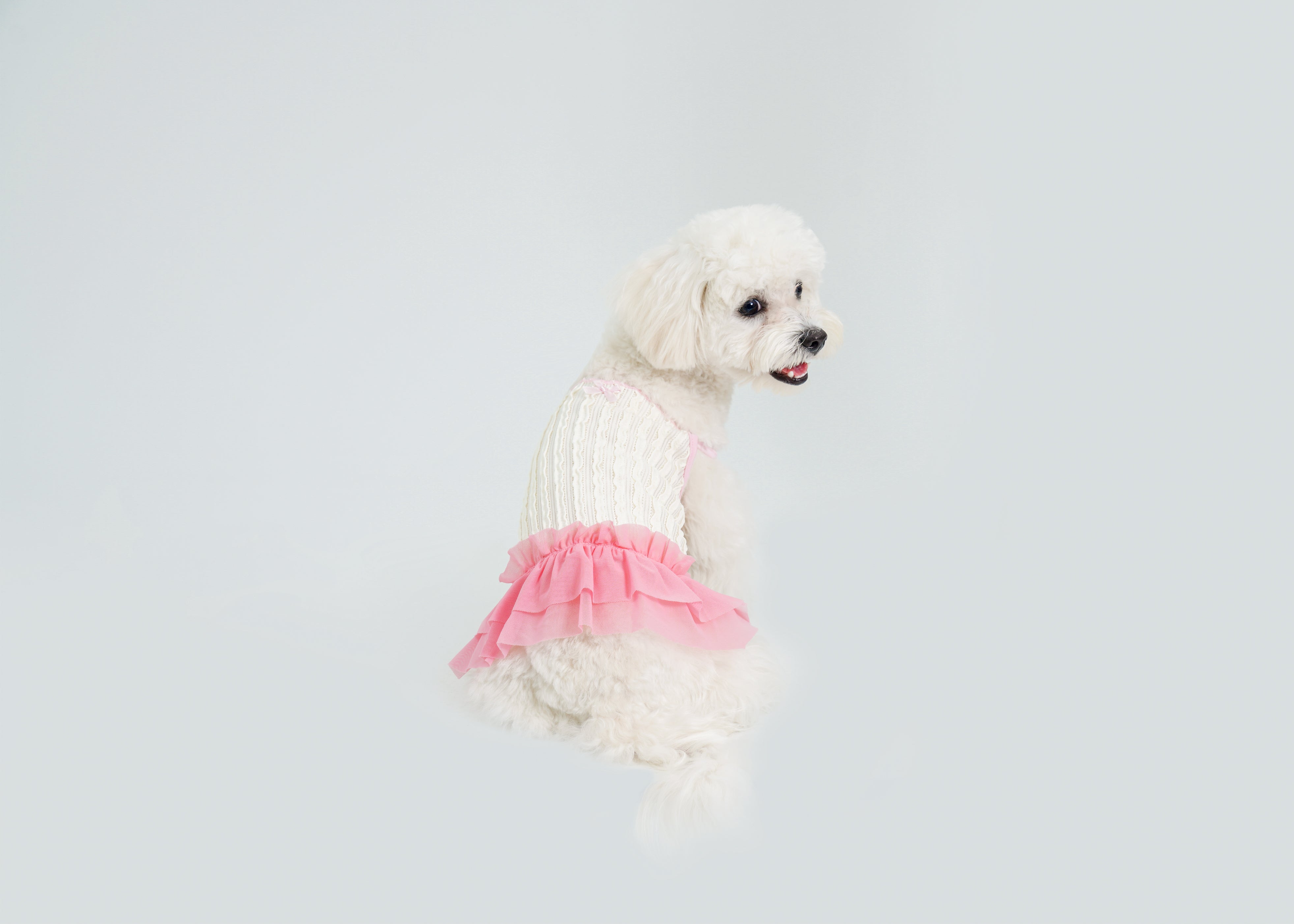 Dream Ballet