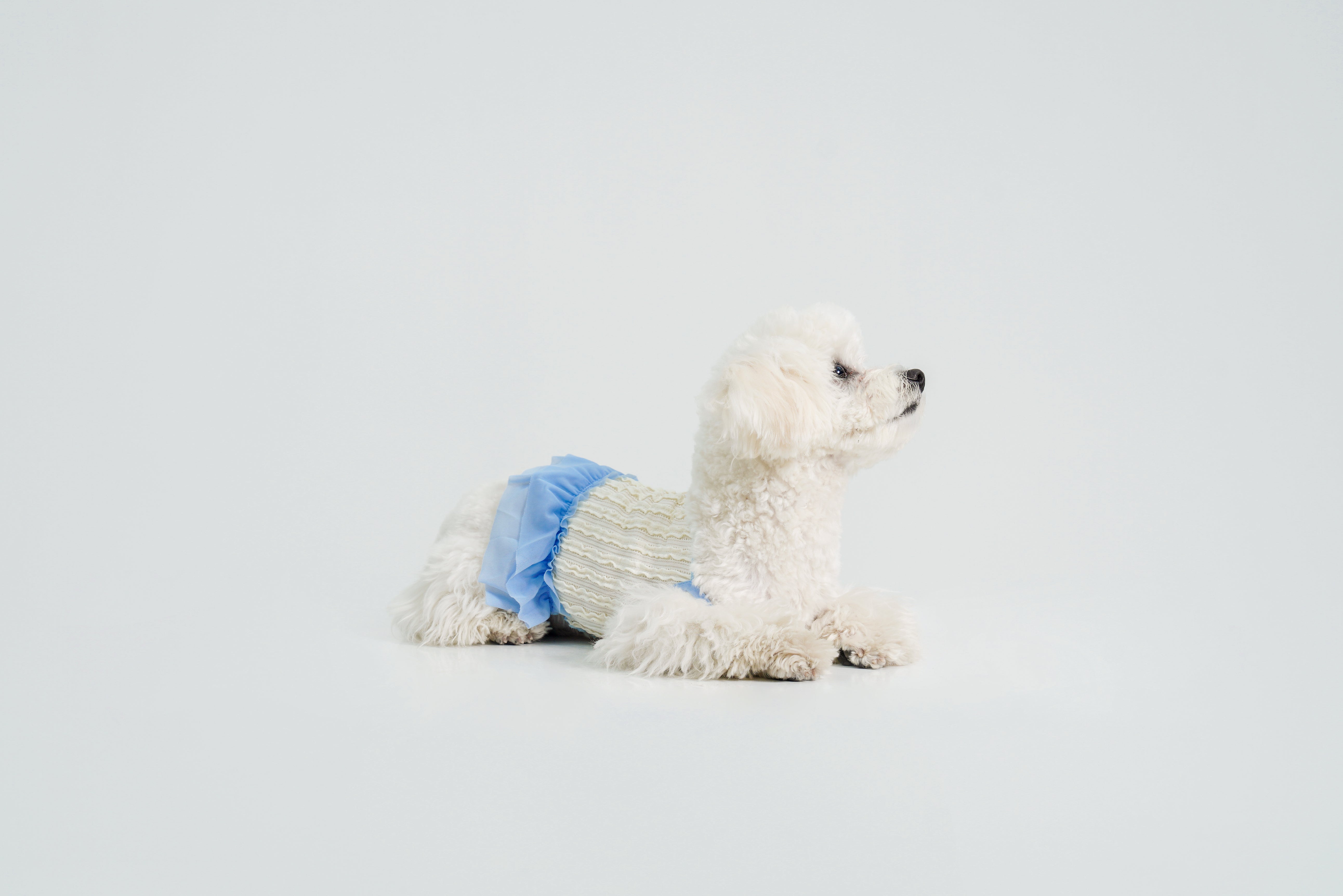 Dream Ballet - Blue