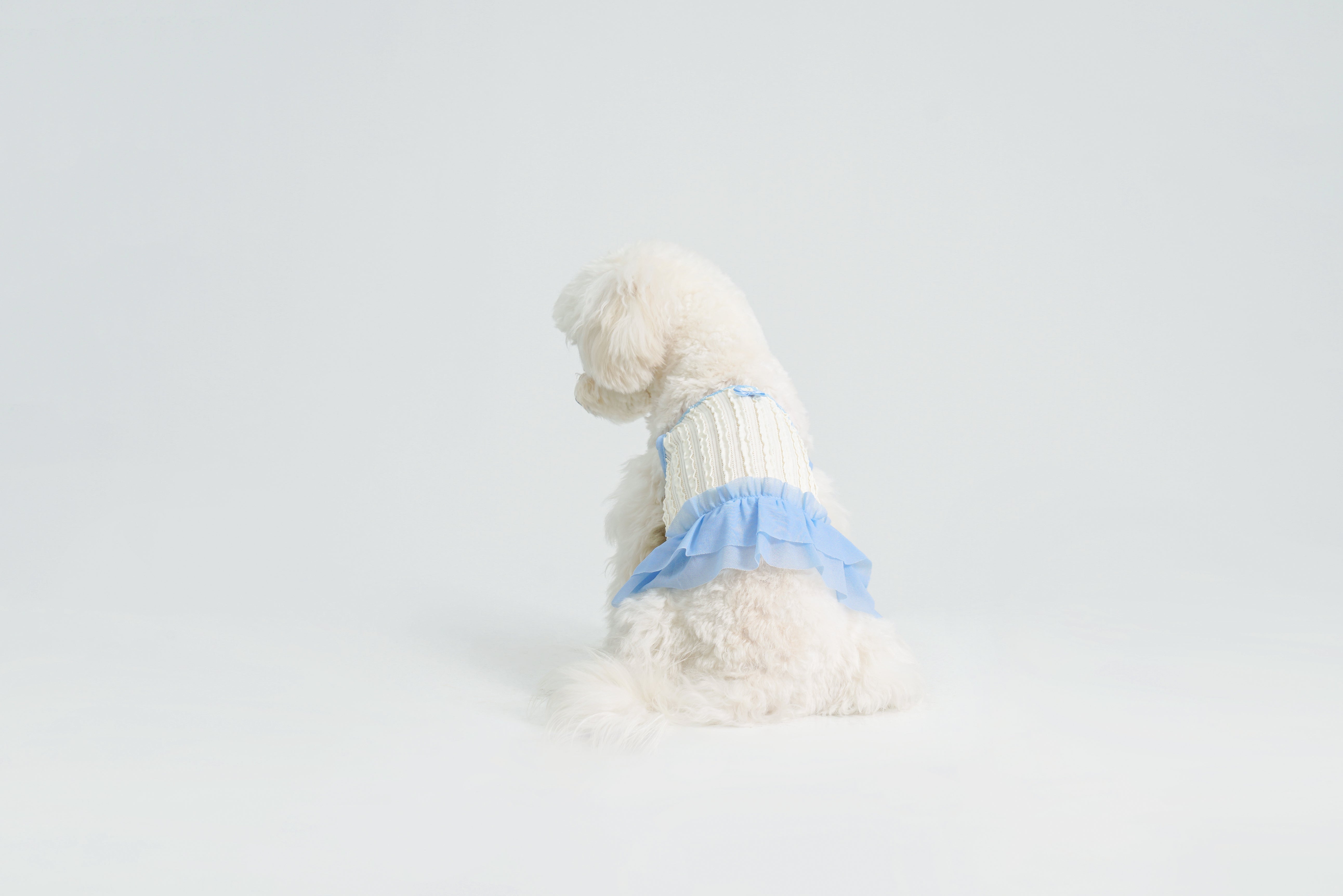 Dream Ballet - Blue