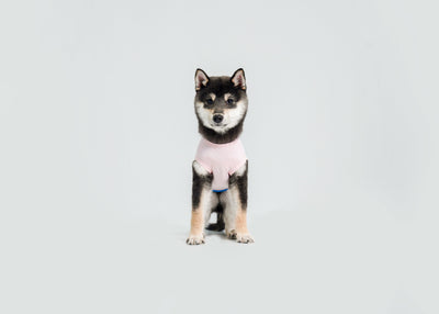 Cool-Touch UV Protection Vest