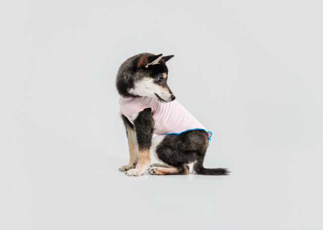 Cool-Touch UV Protection Vest