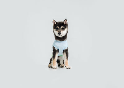 Cool-Touch UV Protection Vest - Blue