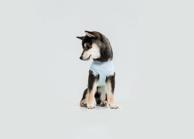Cool-Touch UV Protection Vest - Blue