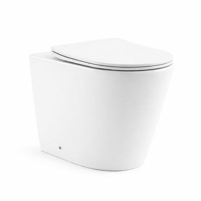 Torina Rimless in-wall rimless Pan Toilet
