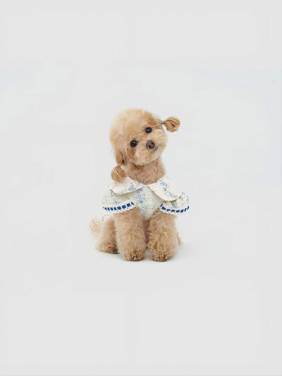 Serene Garden
